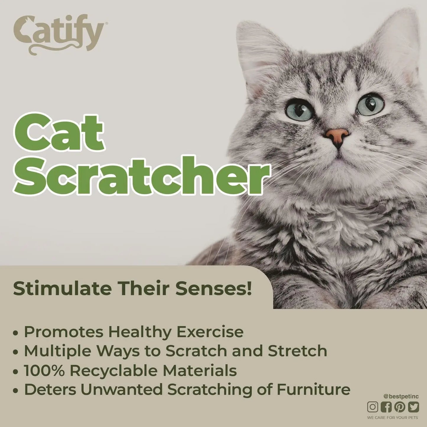 Catify Corrugated Cardboard Cat Scratcher & Lounger - Eco-Friendly, Durable, Interactive Fun for Indoor Cats with Refill Pads Available