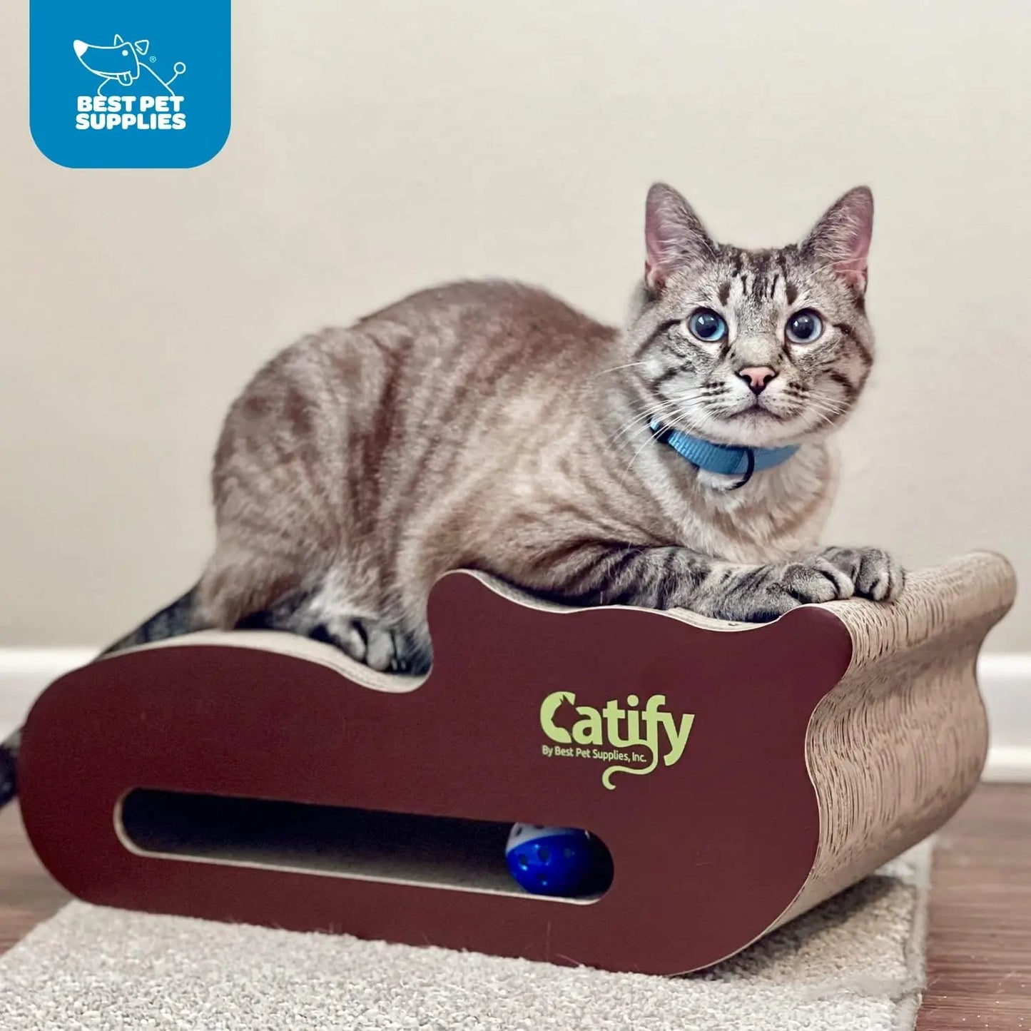 Catify Corrugated Cardboard Cat Scratcher & Lounger - Eco-Friendly, Durable, Interactive Fun for Indoor Cats with Refill Pads Available